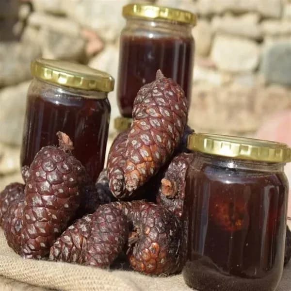 Şekersiz Kozalak Şurubu 1000 ml